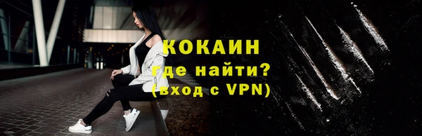 соль ск Абаза