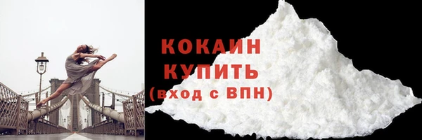 соль ск Абаза