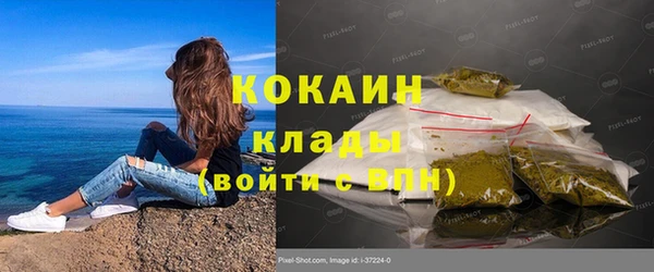 соль ск Абаза